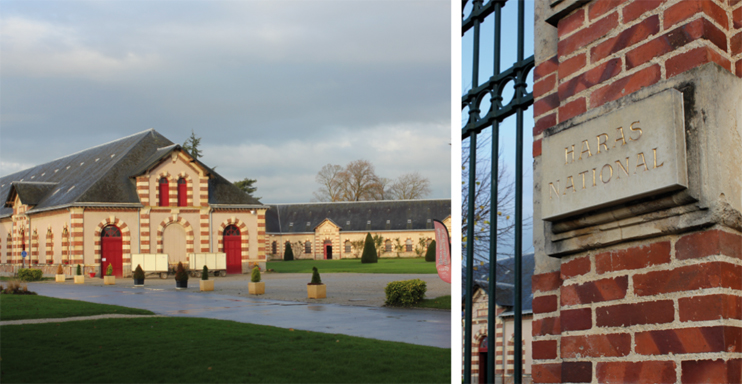 Le Haras National de Saint-L&ocirc; fait peau neuve