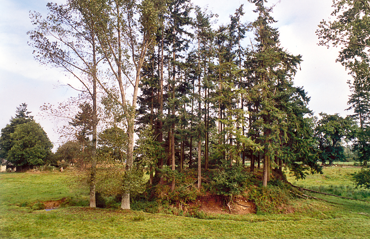 Athis-de-l'Orne - Meurtre et cimeti&egrave;re protestant au hameau de la Motte