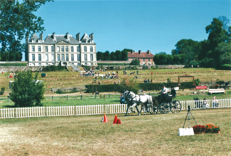 Attelage europ&eacute;en au haras du Pin