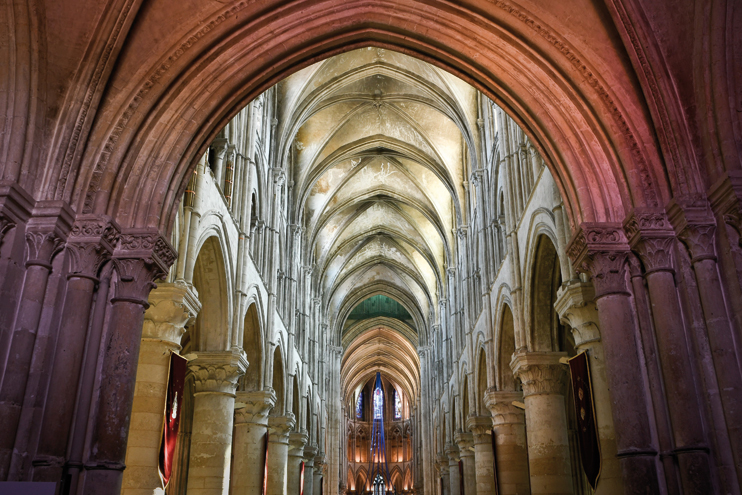 L'&eacute;cole des cath&eacute;drales - Apprendre &agrave; observer