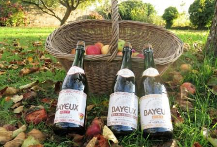 Le renouveau du cidre - Au c&oelig;ur du Bessin : la cidrerie Viard