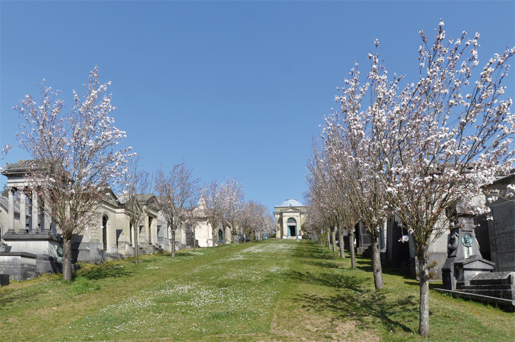 Le cimeti&egrave;re monumental de Rouen