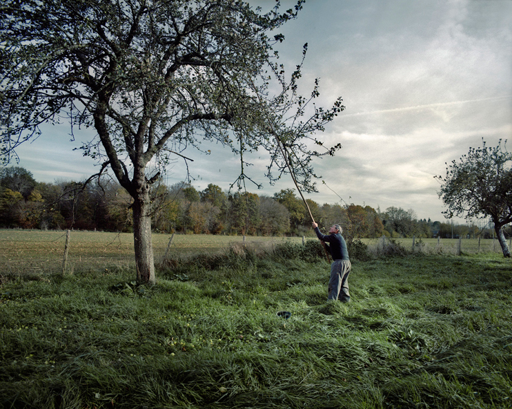Exposition &laquo; Des hommes et des pommes &raquo; au ch&acirc;teau de Martainville