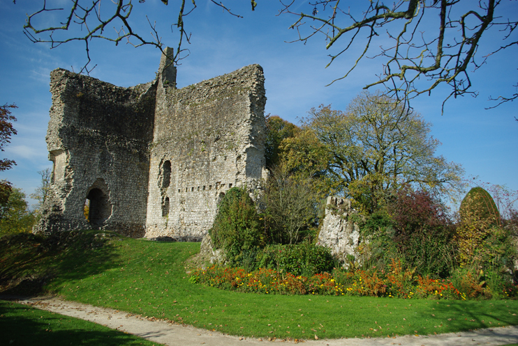 Le ch&acirc;teau et la cit&eacute; m&eacute;di&eacute;vale de Domfront