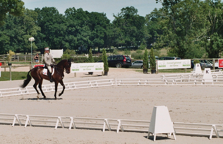 Dressage aux Jeux &Eacute;questres Mondiaux