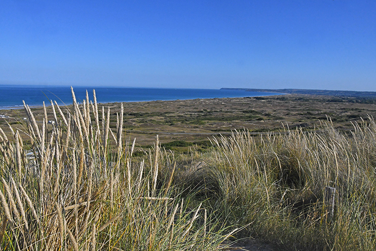 Les dunes d&rsquo;Hatainville &ndash; D&rsquo;herbes et de sable