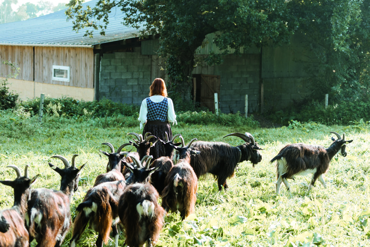 La ferme du Chastel &ndash; Des paysans fromagers en Cotentin