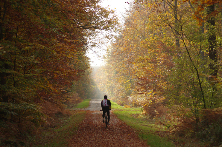 Petites et grandes merveilles de la for&ecirc;t de Brotonne