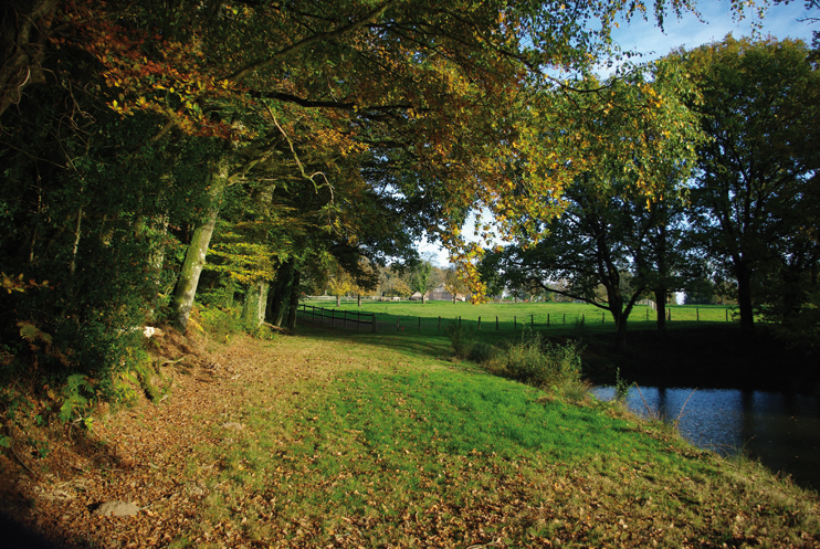La for&ecirc;t des Andaines & le souffle des l&eacute;gendes