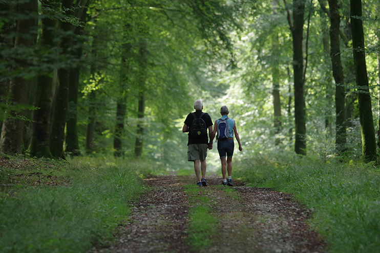 La for&ecirc;t d&rsquo;Eawy &ndash; Naturellement&hellip; normande !