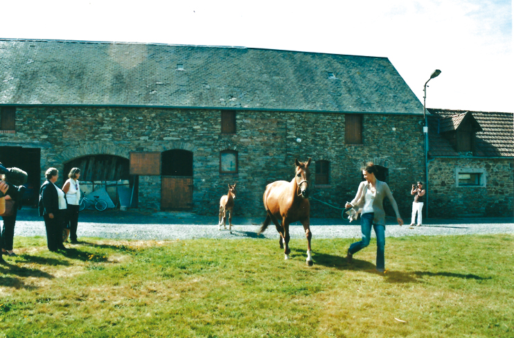 Cheval - La Normandie int&eacute;resse les Am&eacute;ricains !