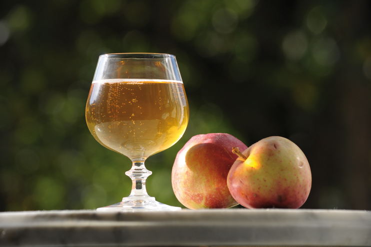 Histoire du cidre - Succ&egrave;s et &eacute;checs d'un embl&egrave;me gastronomique normand