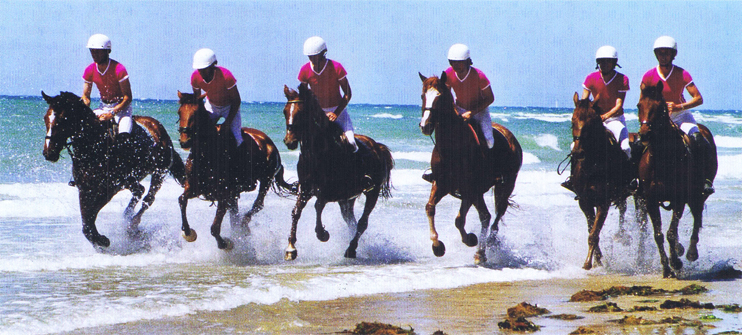 Horse-ball : une &eacute;quipe phare au s&eacute;maphore d'Agon-Coutainville