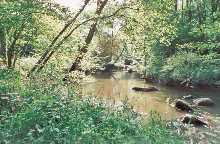 Br&eacute;el - ancien fief des Corday dans le Houlme et paradis des randonneurs