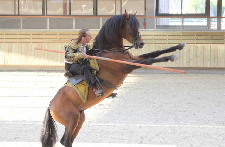 &Eacute;motions &eacute;questres &agrave; Deauville !