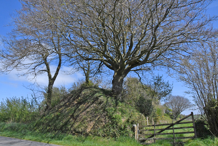 Vous avez dit Viking ? Le paradoxe des traces attribu&eacute;es aux Vikings en Normandie