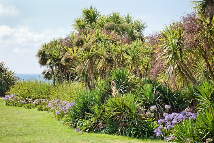 Le jardin botanique de Vauville