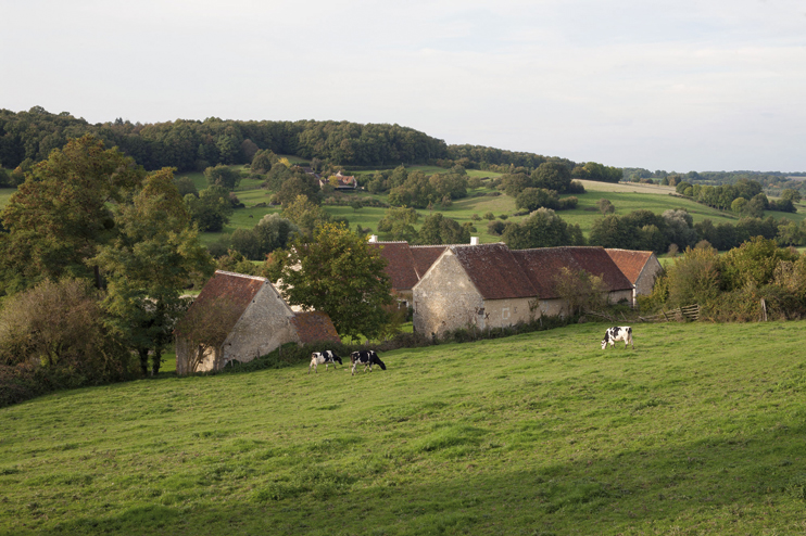 Exposition &laquo; Architectures du Perche &raquo; au manoir de Courboyer