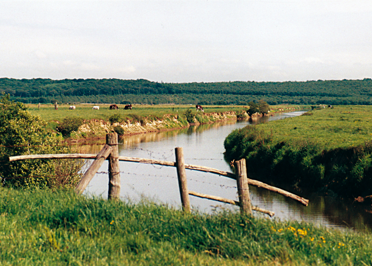 Dans les marais du Cotentin avec Barbey d&rsquo;Aurevilly