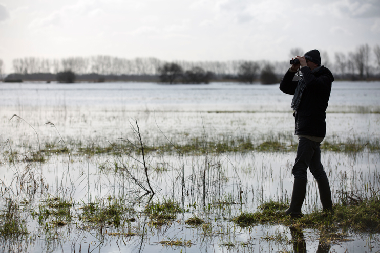 Le &laquo; marais blanc &raquo; du Cotentin et du Bessin
