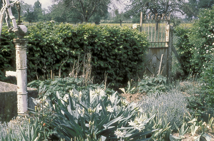 Plantes domestiqu&eacute;es en Normandie - Au plus secret des jardins
