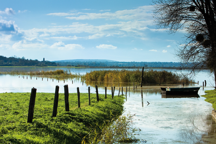 Le parc naturel r&eacute;gional des Marais du Cotentin et du Bessin