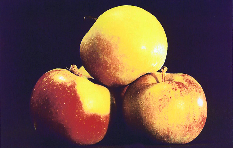 Pommes &agrave; cidre - Quand l'odeur monte des greniers et des cours de ferme