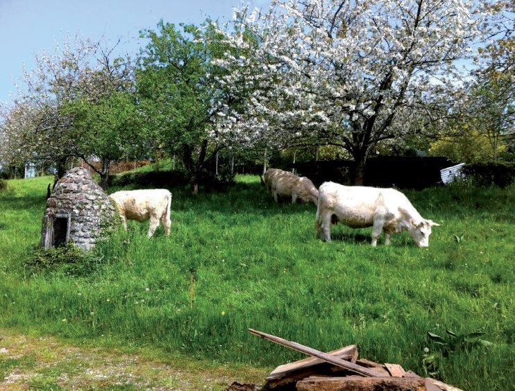 Un outil pr&eacute;cieux pour sauvegarder le patrimoine rural de la Manche
