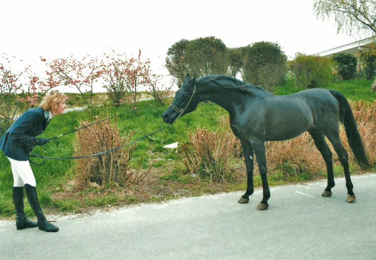 Saint-L&ocirc; : &eacute;ph&eacute;m&egrave;re capitale du Cheval