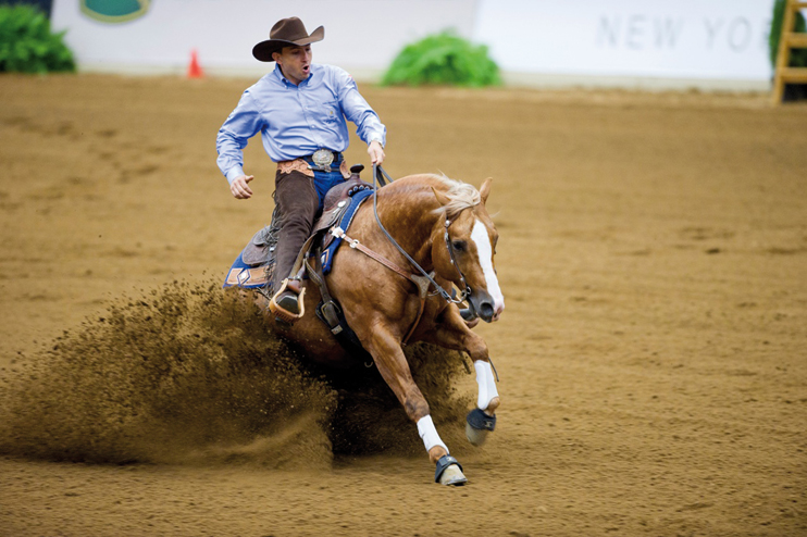 Jeux &Eacute;questres Mondiaux : le reining &agrave; Caen