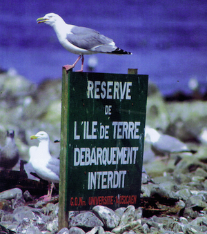 Les r&eacute;serves ornithologiques de Normandie