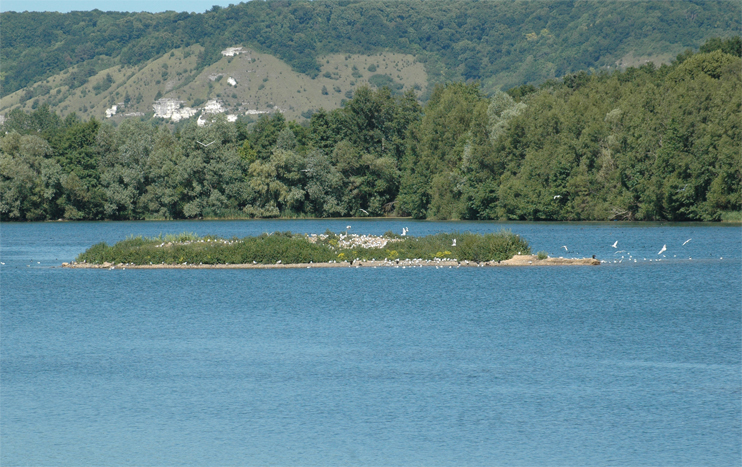R&eacute;serve de la Grande No&eacute; - Val de Reuil (Eure)