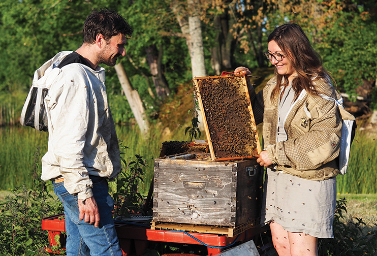 Ruchers de Normandie : un savoir-faire apicole en pays d&rsquo;Ouche