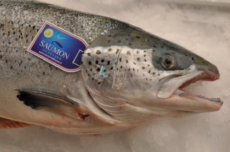 Saumon de France&hellip; mais bien normand !