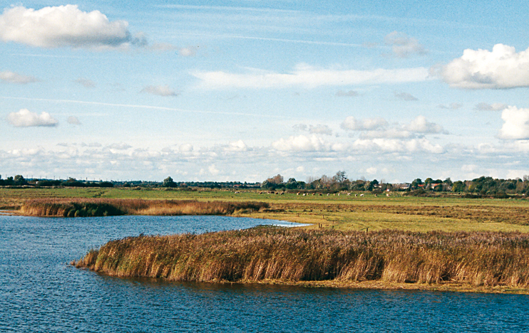 Parc Naturel r&eacute;gional des Marais du Cotentin et du Bessin : site des Ponts d'Ouve