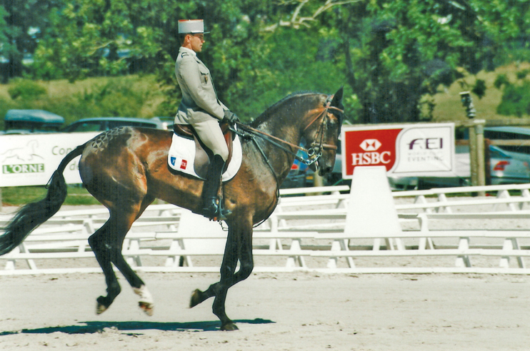 Haras du Pin : terre de concours complet d&rsquo;&eacute;quitation