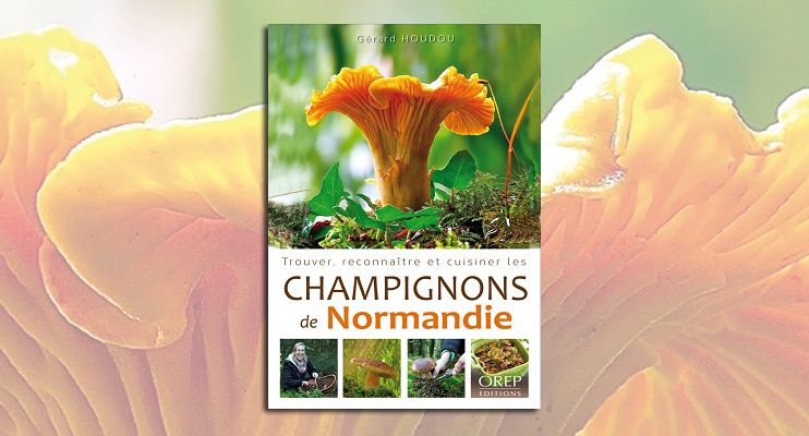 Trouver, reconna&icirc;tre et cuisiner les champignons de Normandie.
